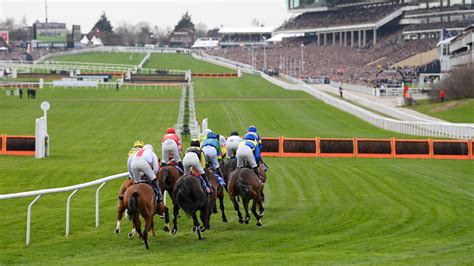 cheltenham race cards 2023.
